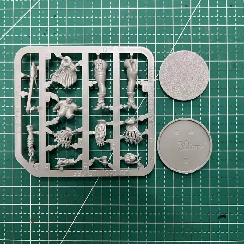 30mm Female Warrior with Dual Swords, Resin Model Figure Kit, Fantasy Theme, Unassembled and Unpainted