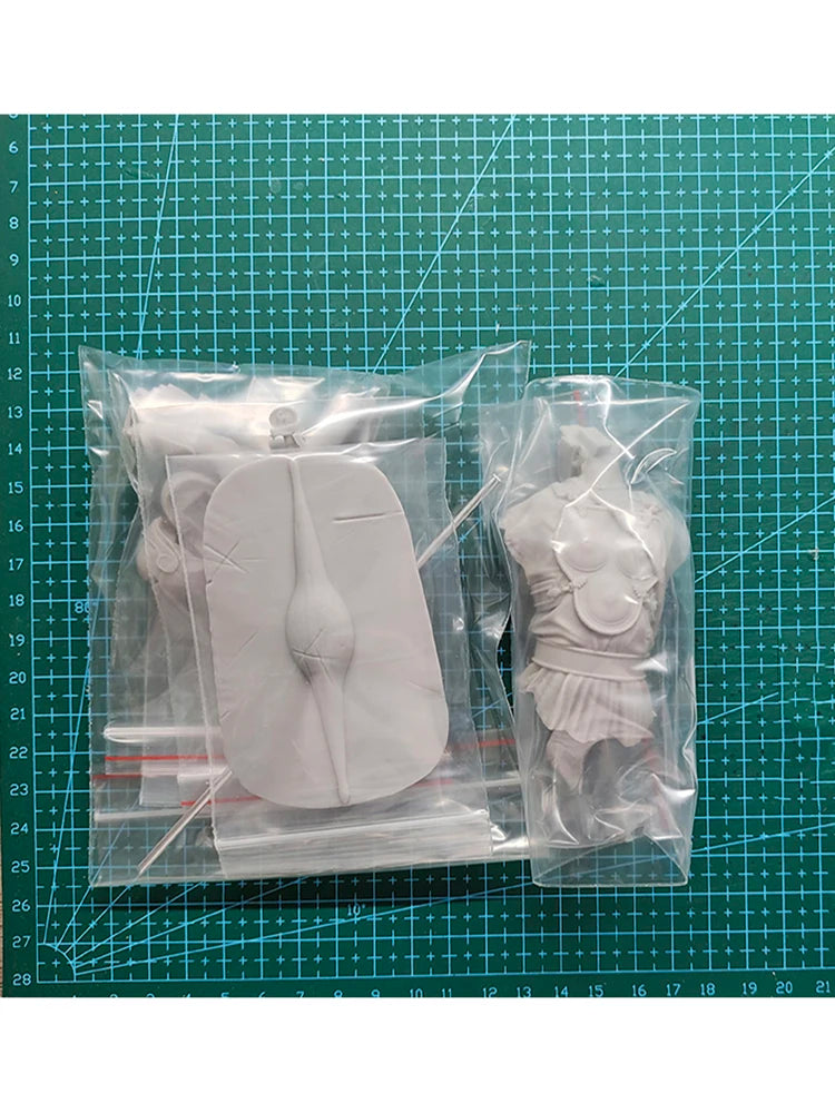 1/10 Ancient Samnite Warrior, Resin Model Bust Kit, Unassembled and Unpainted