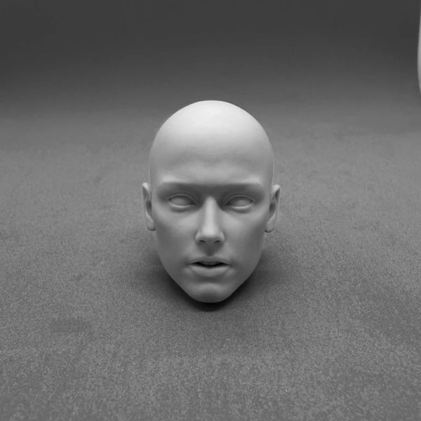 1/6 Female Film Actress Head Sculptures, 6 Figures, Resin Model Bust Kit, Historical Theme, Unassembled and Unpainted