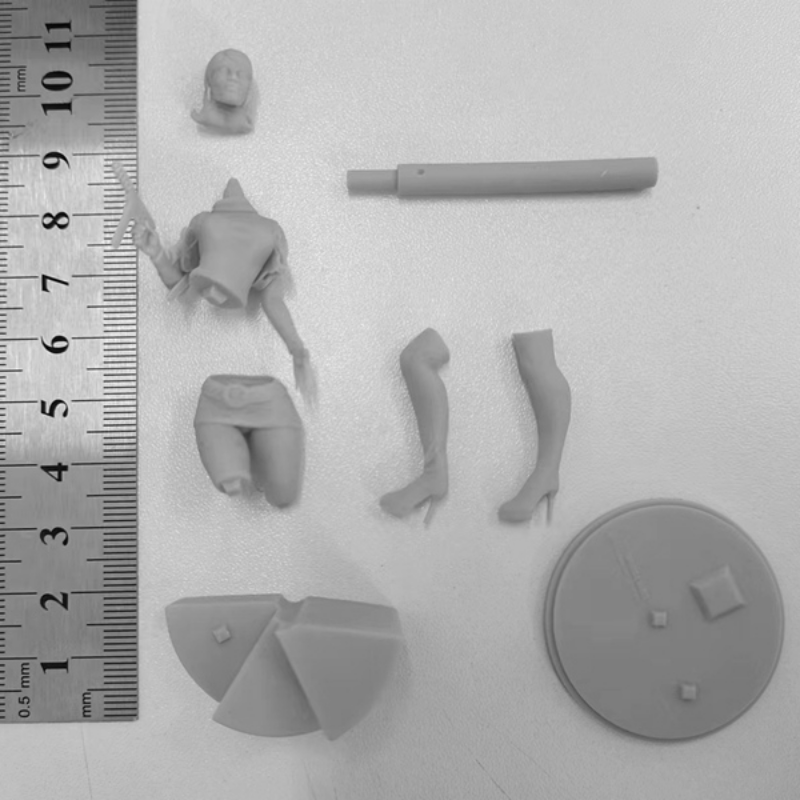 1/24 Lana Kane, Resin Model Figure Kit, Anime Theme, Unassembled and Unpainted