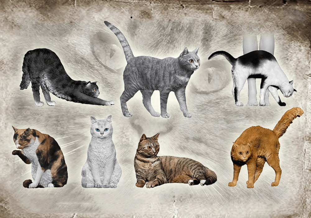 1/35 Cats & Dogs, 9 Figures, Resin Model Creature Kit, Wildlife Theme, Unassembled and Unpainted