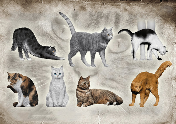 1/35 Cats & Dogs, 9 Figures, Resin Model Creature Kit, Wildlife Theme, Unassembled and Unpainted