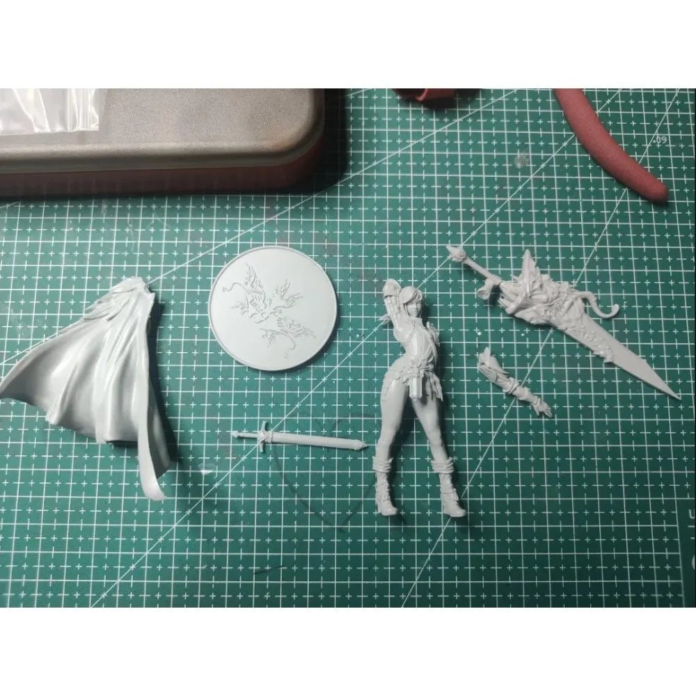 80mm Female Warrior, Resin Model Figure Kit, Fantasy Theme, Unassembled and Unpainted