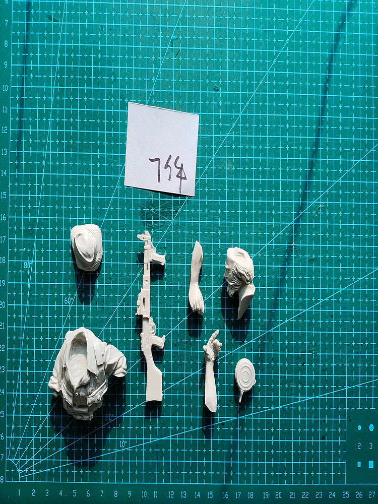 1/12 Modern Fantasy Military Officer, Resin Model Bust Kit, Unassembled and Unpainted