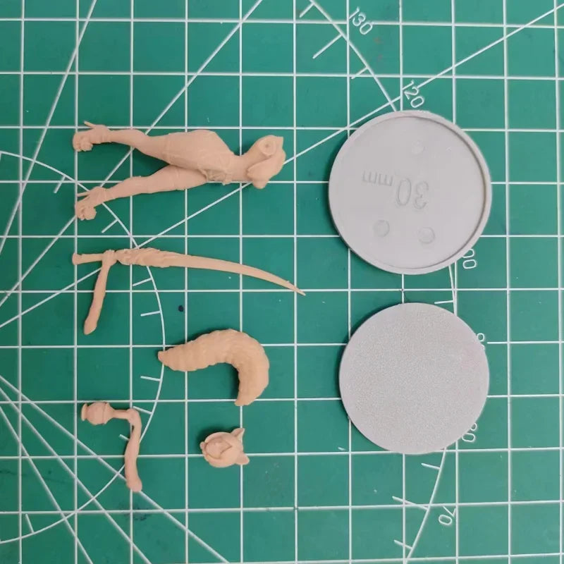 30mm Succubus Demon, Resin Model Figure Kit, Fantasy Theme, Unassembled and Unpainted