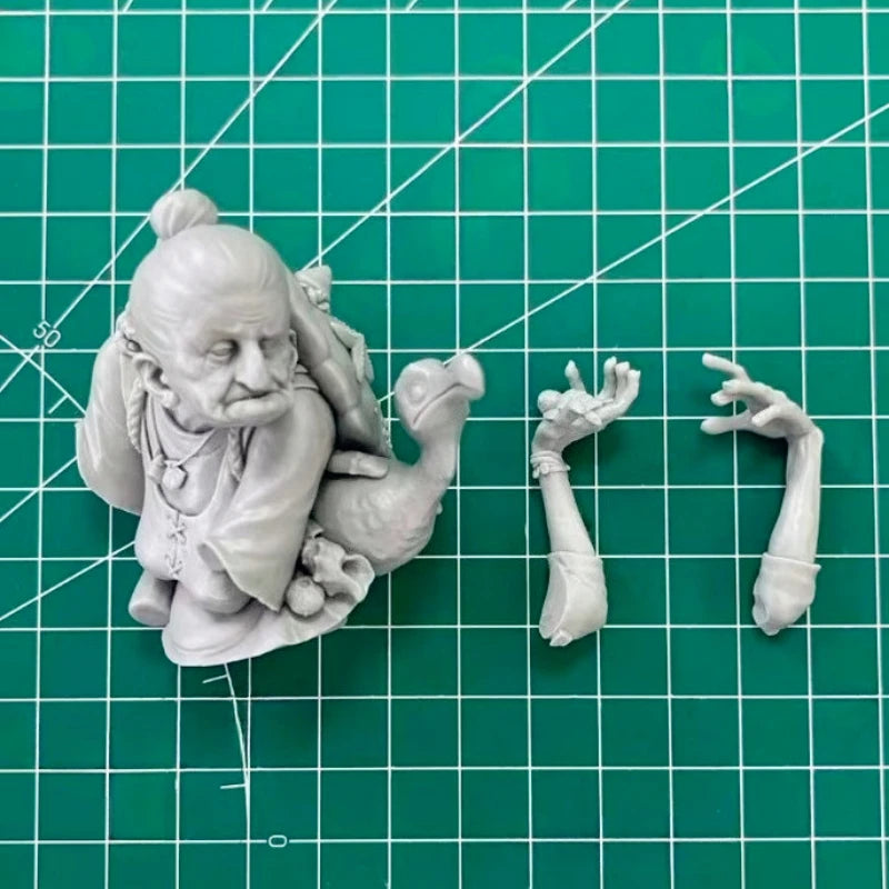 1/12 Grandma Turtle, Resin Model Bust Kit, Wildlife Theme, Unassembled and Unpainted