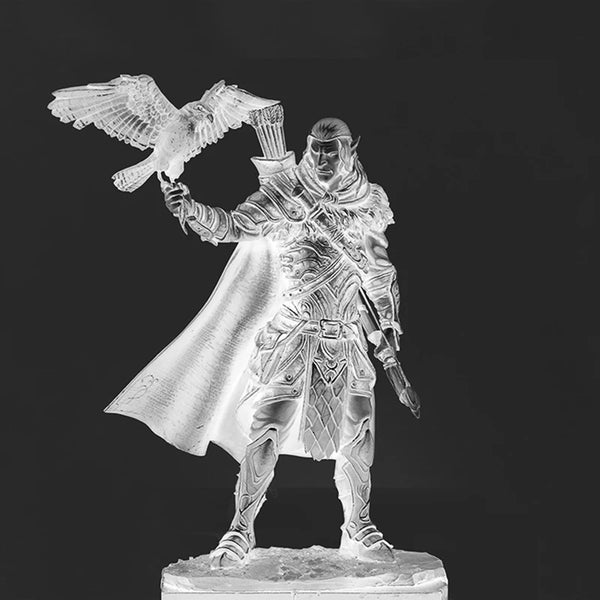 1/24 Medieval Warrior with Eagle, Resin Model Figure Kit, Fantasy Theme, Unassembled and Unpainted