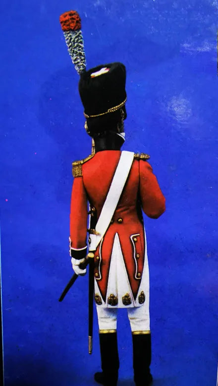 1/16 Napoleonic British Officer, Resin Model Figure Kit, Unassembled and Unpainted