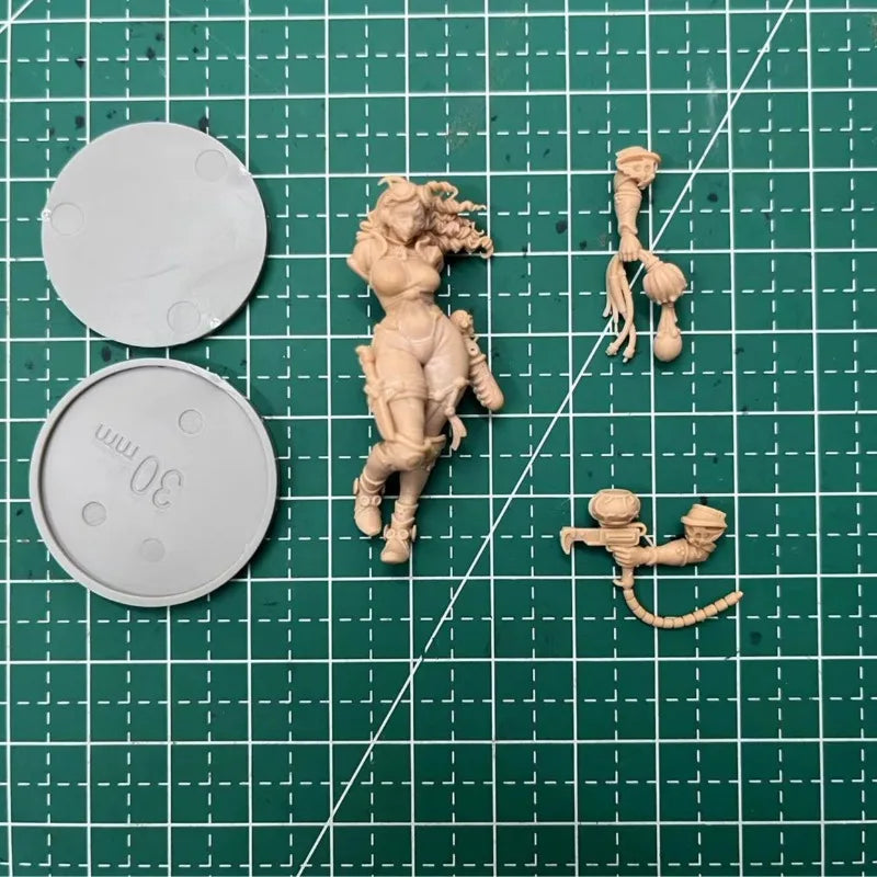 30mm Female Survivor Warrior, Resin Model Figure Kit, Anime Theme, Unassembled and Unpainted