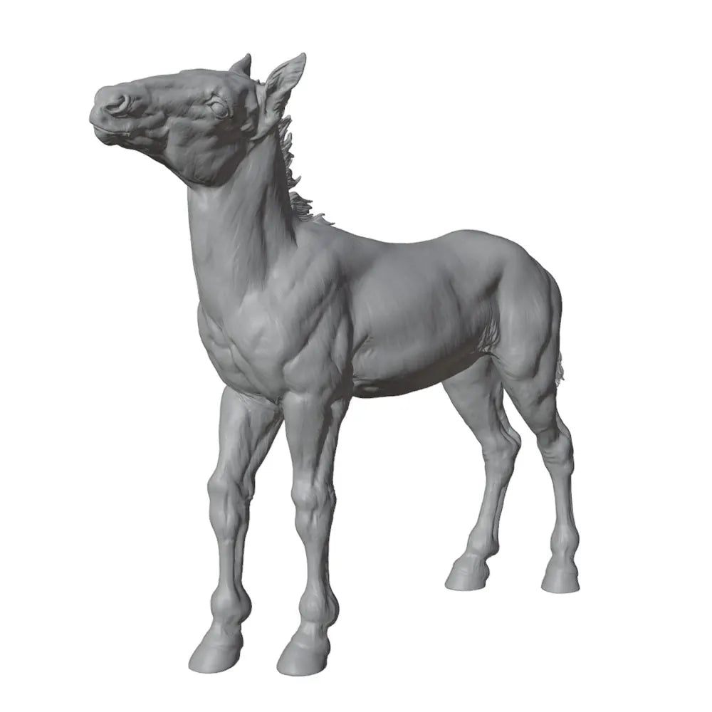 50mm Horse, Resin Model Creature Kit, Wildlife Theme, Unassembled and Unpainted