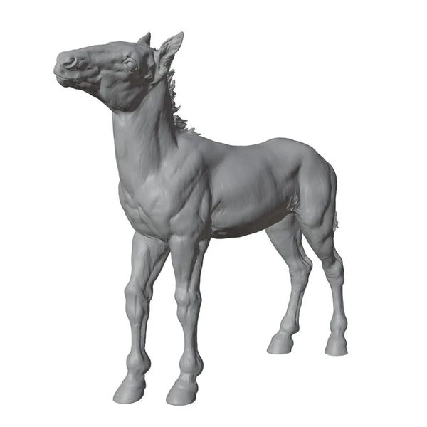 50mm Horse, Resin Model Creature Kit, Wildlife Theme, Unassembled and Unpainted