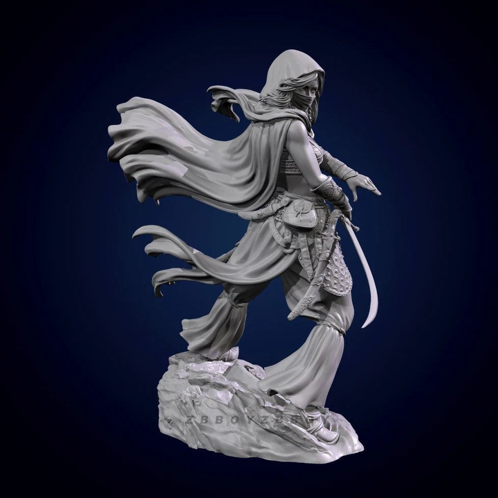 75mm Ornate Swordswoman in Armor with Flowing Cape, Resin Model Figure Kit, Fantasy Theme, Unassembled and Unpainted