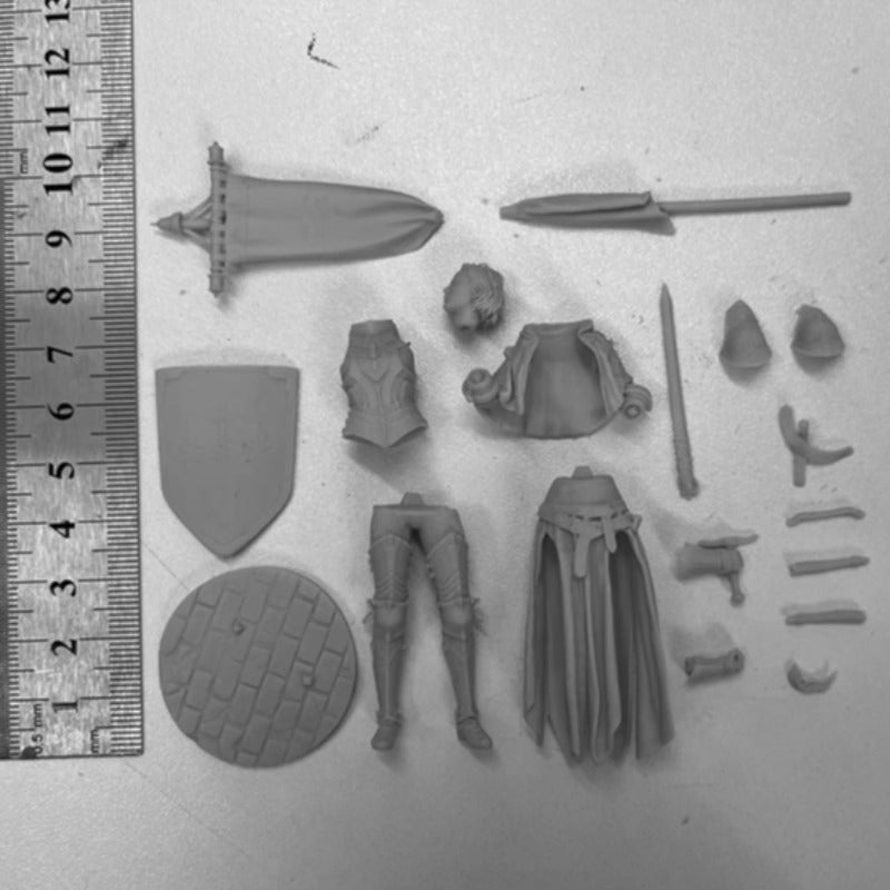 1/24 Medieval Female Knight in Ornate Black Armor and Heraldic Cloak, Resin Model Figure Kit, Unassembled and Unpainted