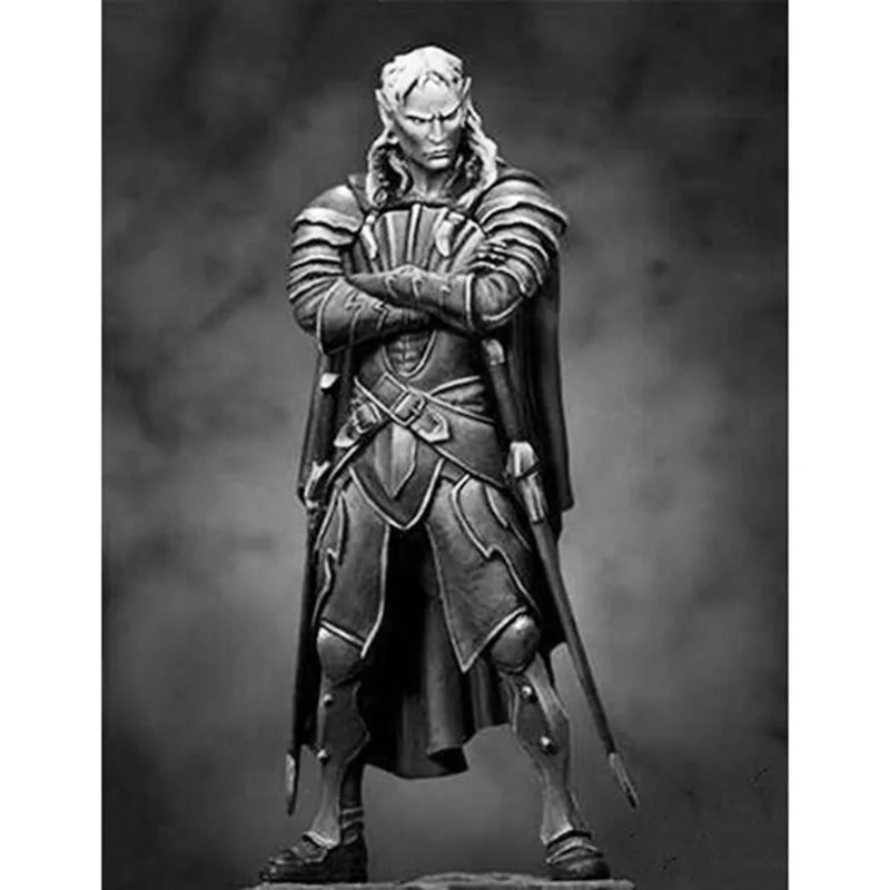 1/24 Medieval Noble Female Warrior with Crossed Arms, Resin Model Figure Kit, Unassembled and Unpainted