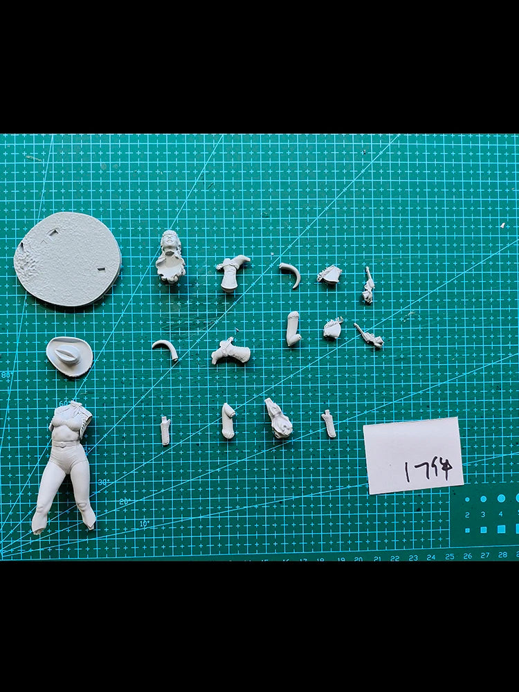 75mm Fantasy Female Officer, Resin Model Figure Kit, Unassembled and Unpainted