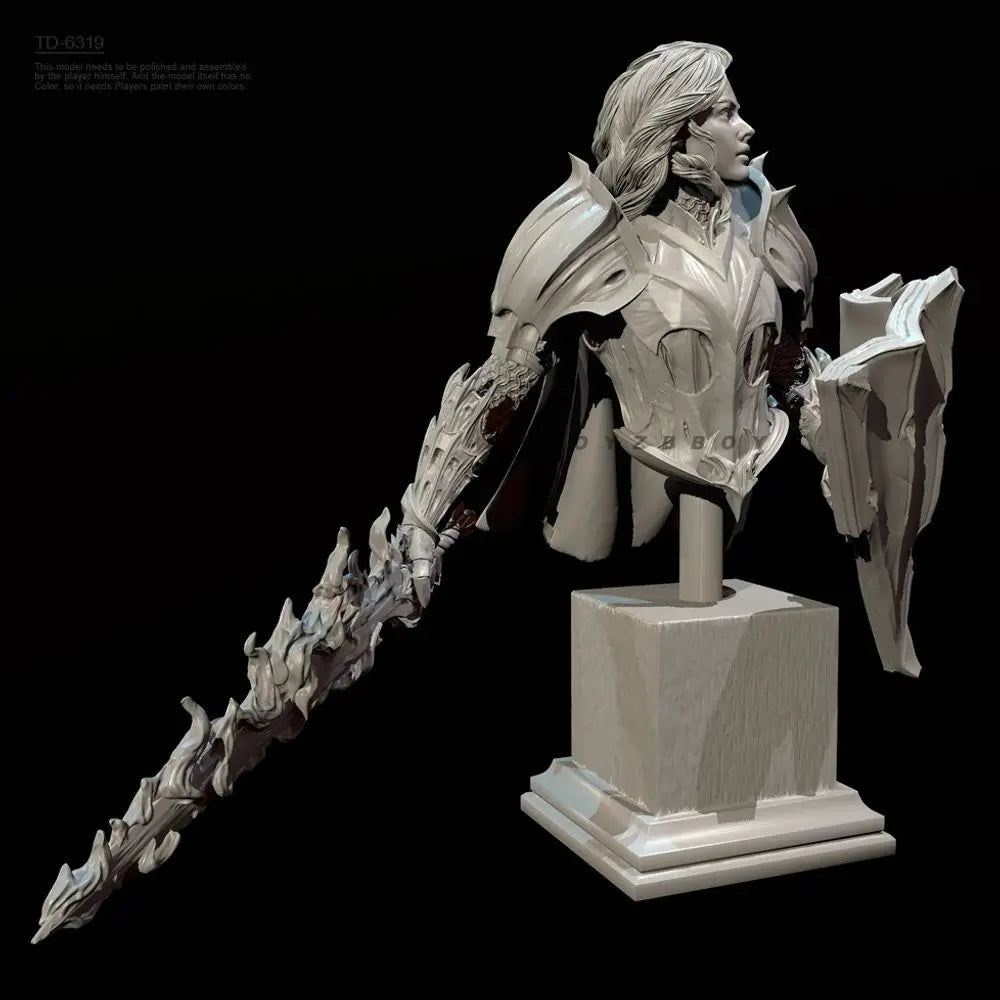 70mm Female Knight, Resin Model Bust Kit, Fantasy Theme, Unassembled and Unpainted