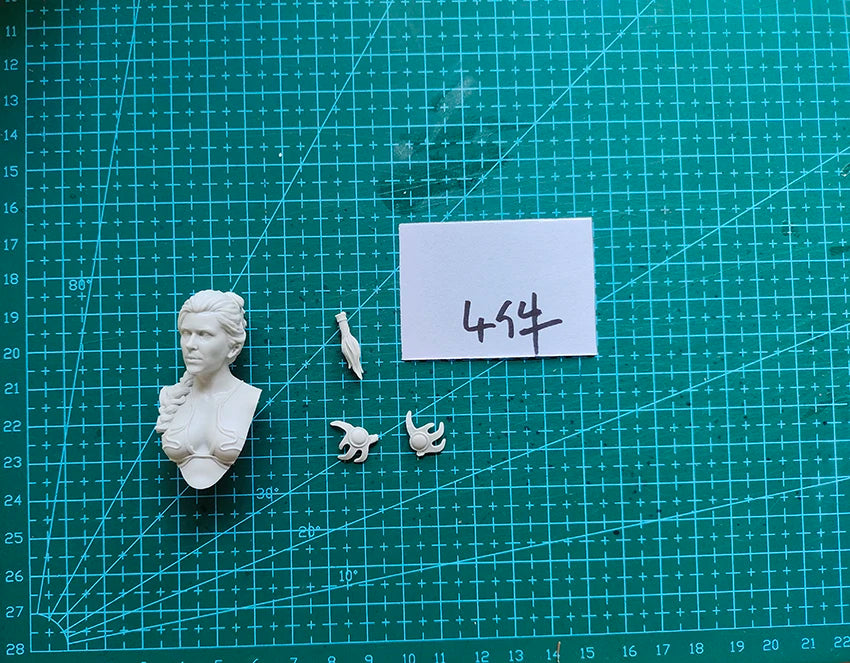 1/12 Princess Warrior, Resin Model Bust Kit, Fantasy Theme, Unassembled and Unpainted