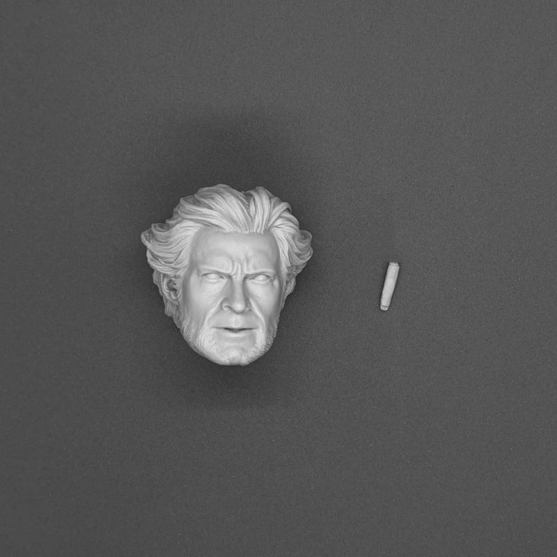 1/6 Character Head Sculpts Collection, 11 Figures, Resin Model Bust Kit, Historical Theme, Unassembled and Unpainted