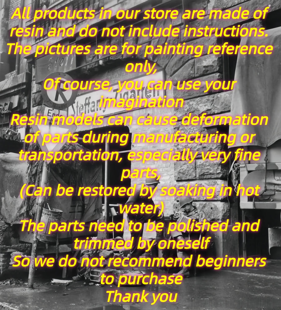 1/16 Cast Resin Model Assembly Kit Resin Engineer, Unpainted