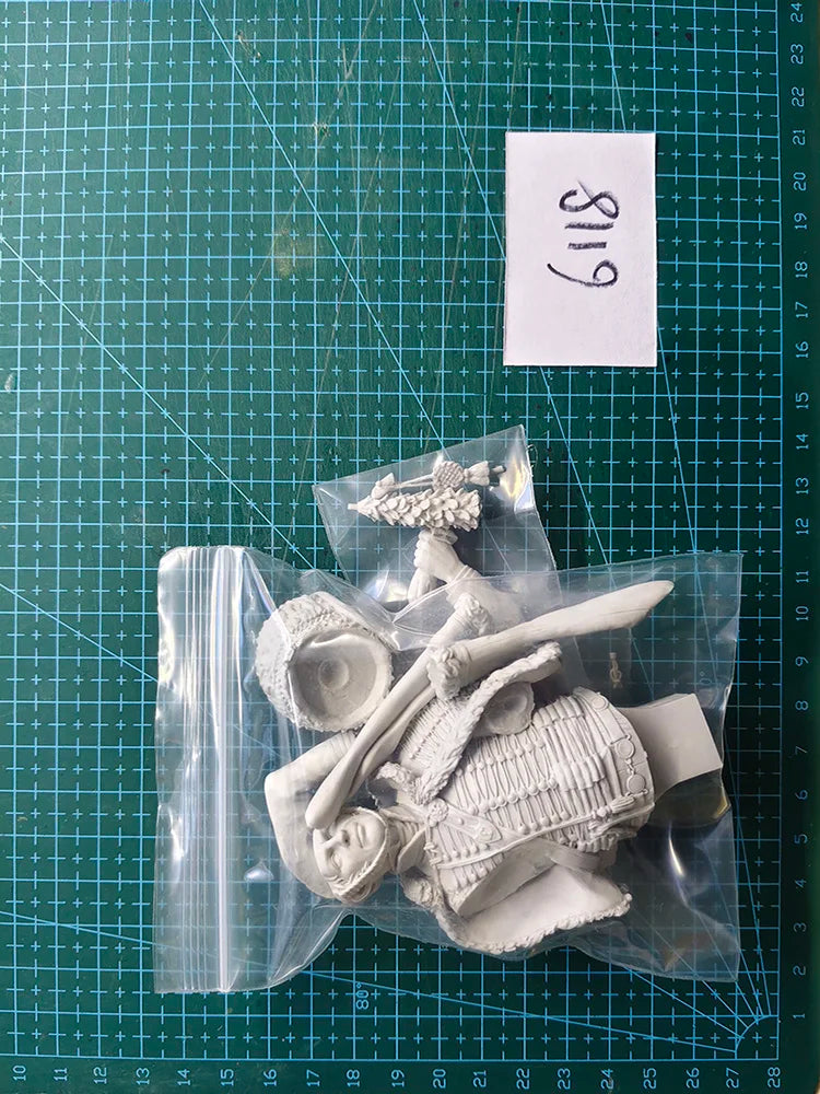 1/10 Warrior Noble, Resin Model Bust Kit, Fantasy Theme, Unassembled and Unpainted