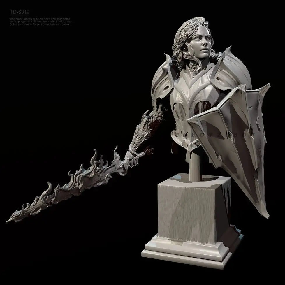 70mm Female Knight, Resin Model Bust Kit, Fantasy Theme, Unassembled and Unpainted