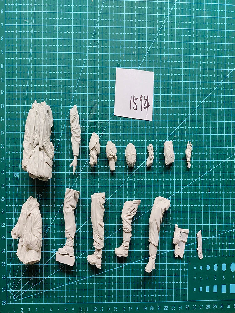 1/16 Modern Military Officers, 2 Figures, Resin Model Figure Kit, Unassembled and Unpainted