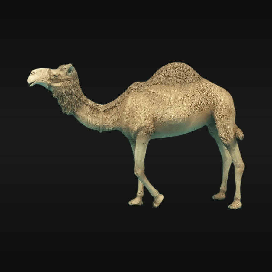 North African Desert Camel 1/35 Resin Model Kit - Unassembled - unpainted resin model kit
