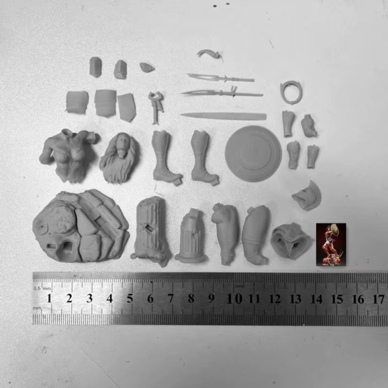 1/24 75Mm Scale Resin Figure Assembly Model Kit Shield Female Swordsman Fantasy Hobby Gk Toy Unassembled Unpainted 3D Printing