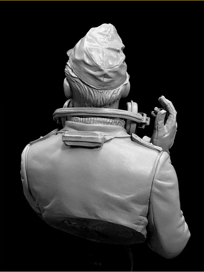 1/10 Resin Bust Assembled Model Kit History Hobby Miniature Panzer Officer WWII Unassembled and Unpainted Diorama