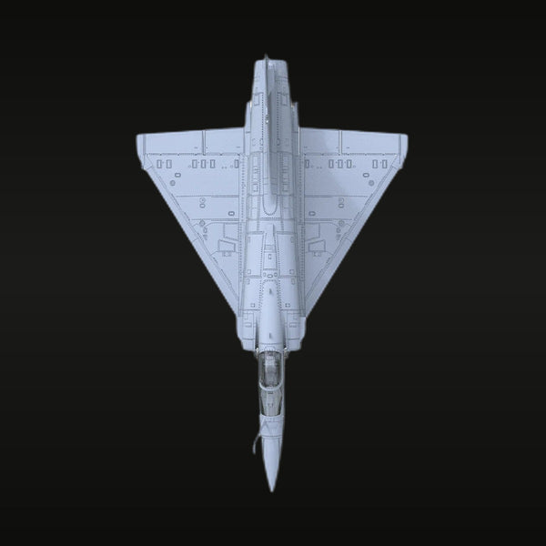 French Mirage 2000-5F Fighter 1/100 Resin Model Kit