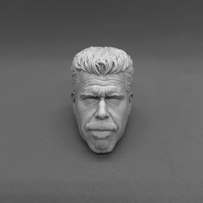 Male Character Head with Pompadour Hairstyle 1/6 Resin Bust Kit - resin model view 3