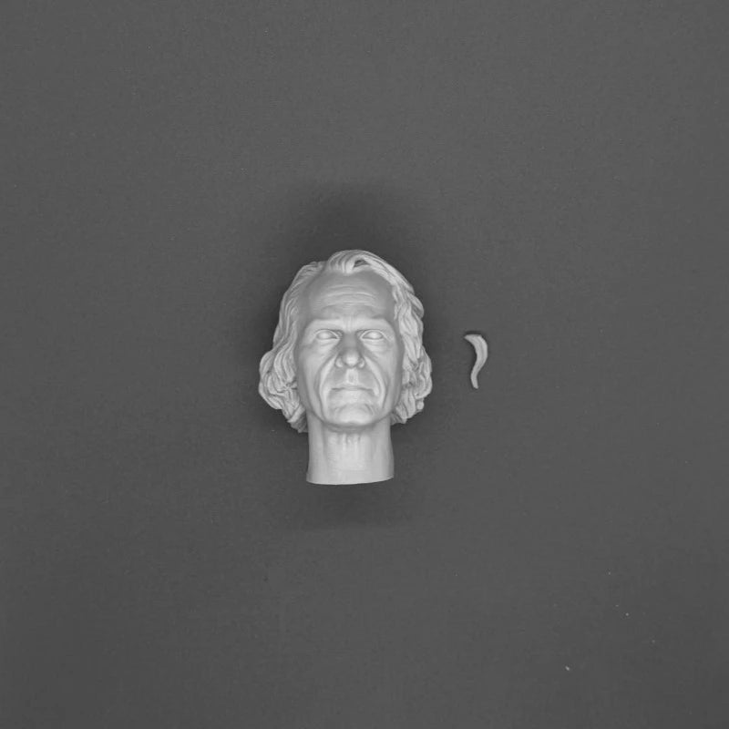 1/6 Scale Resin Diecast Head Sculpture Model Film Characters Head Carving Fit 12'' Action Figure Unassembled Unpainted