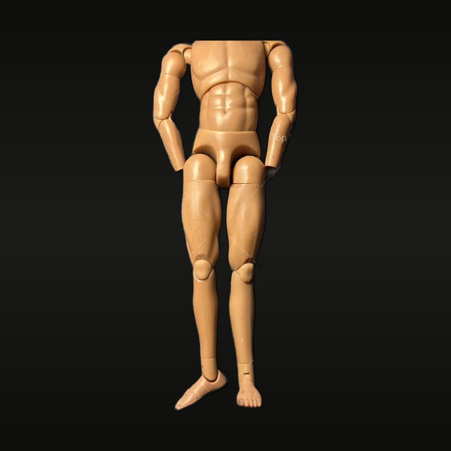 1/6 Scale Male Muscular Body Figure Resin Kit - Super Flexible Joints - unpainted resin model kit
