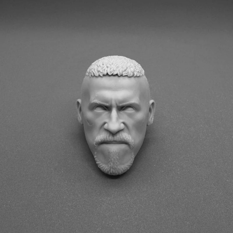 1/6 Scale Resin Diecast Head Sculpture Model Movie Characters Collection Head Carving Fit 12'' Action Figure Unpainted