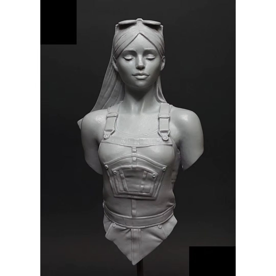Total Height: 75Mm, Resin Model Bust GK， Unassembled and Unpainted Kit