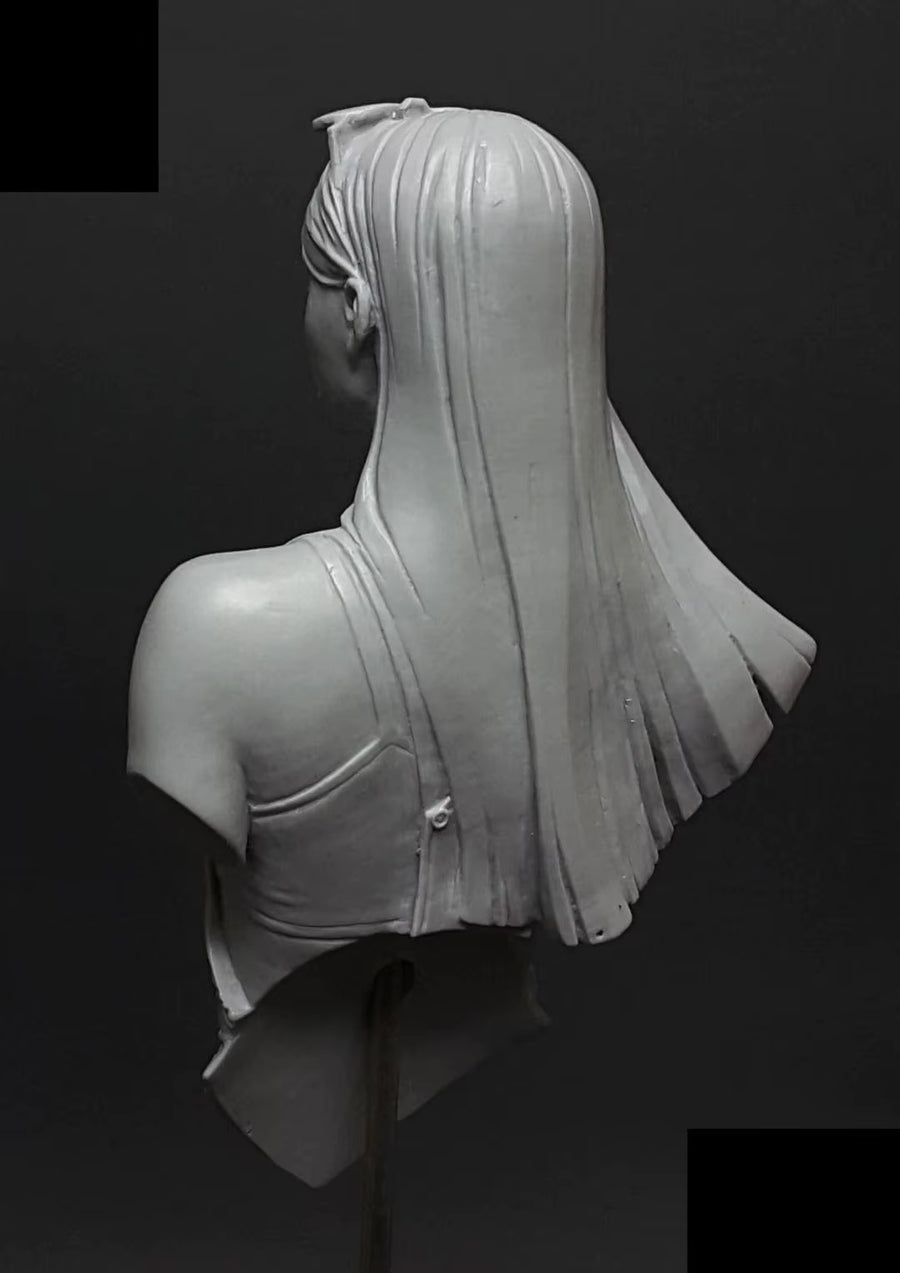 Total Height: 75Mm, Resin Model Bust GK， Unassembled and Unpainted Kit