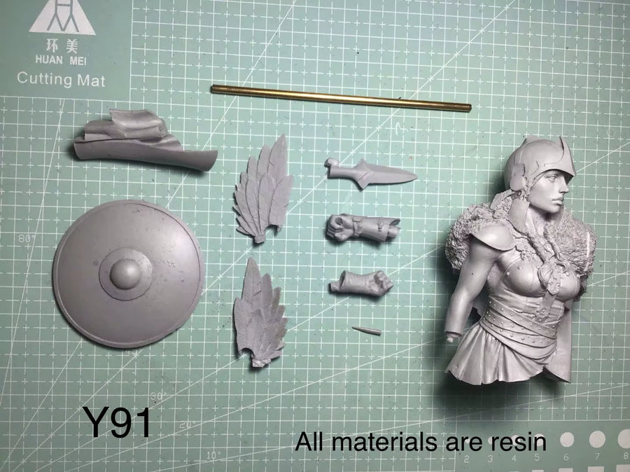 1/9 Resin Model Figure Bust ,Unassembled and Unpainted Kit