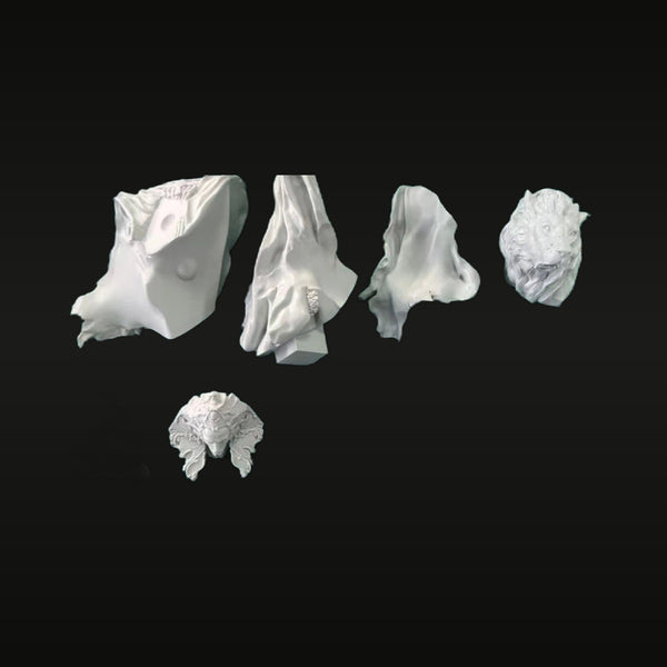 Fantasy Bust Parts with Lion Head and Demon Mask Resin Kit 1/12