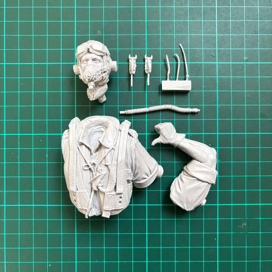 RAF Pilot Africa WWII 1/10 Scale Resin Bust Figure Kit - 1/10 resin model view 6