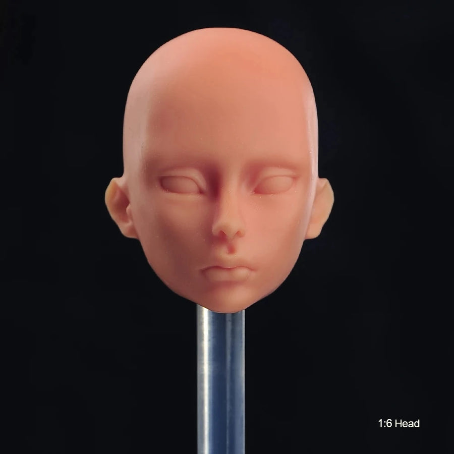 1/6 Scale Female Soldier Head Resin Bust Kit - 1/6 resin model view 8