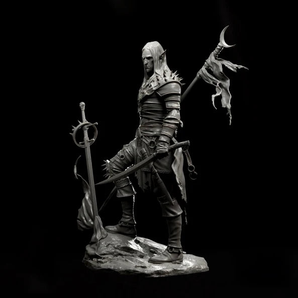 Dark Elf Warrior with Dual Swords 1/24 Resin Figure Kit - 1/24 resin model view 5