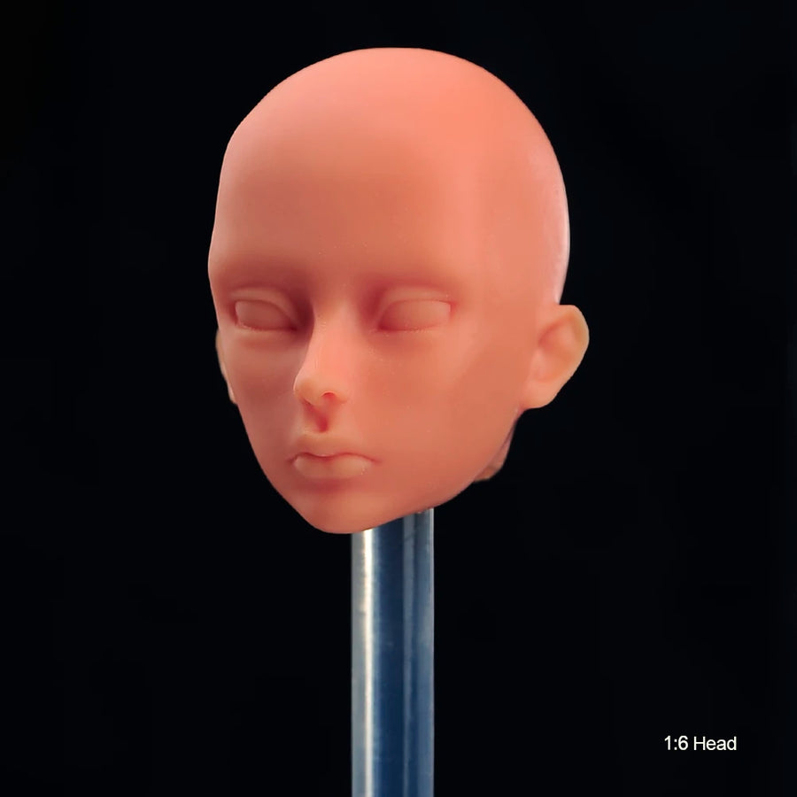 1/6 Scale Female Soldier Head Resin Bust Kit - 1/6 resin model view 5