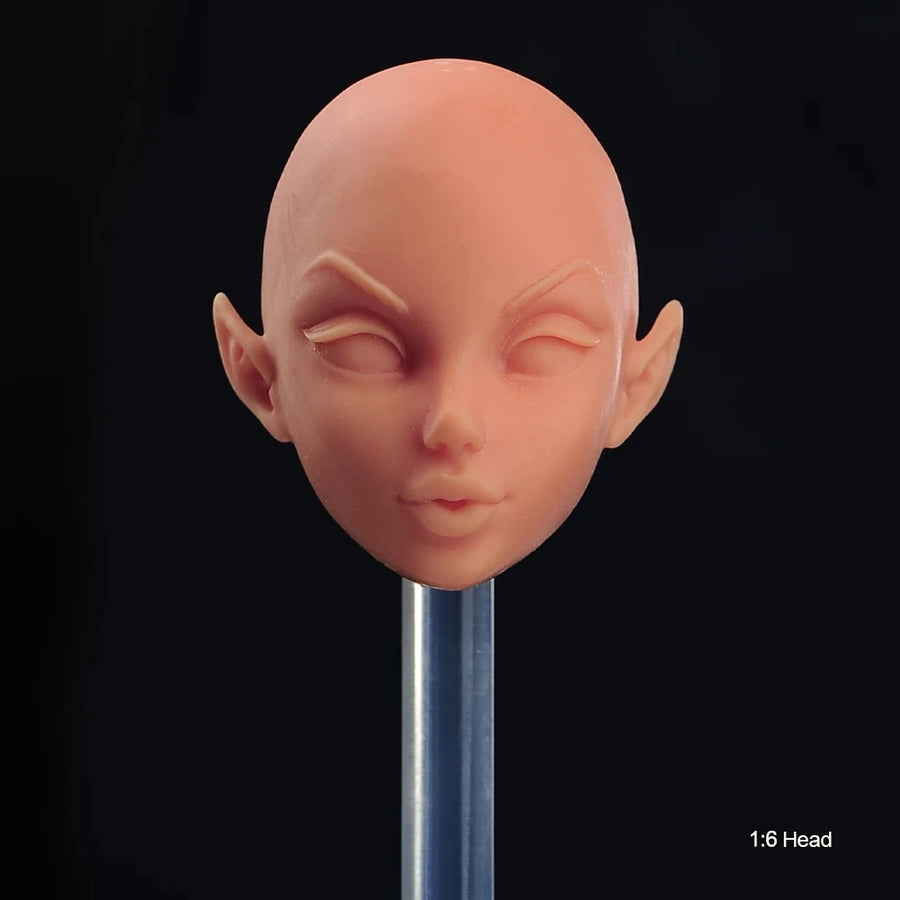 1/6 Scale Female Soldier Head Resin Bust Kit - 1/6 resin model view 7