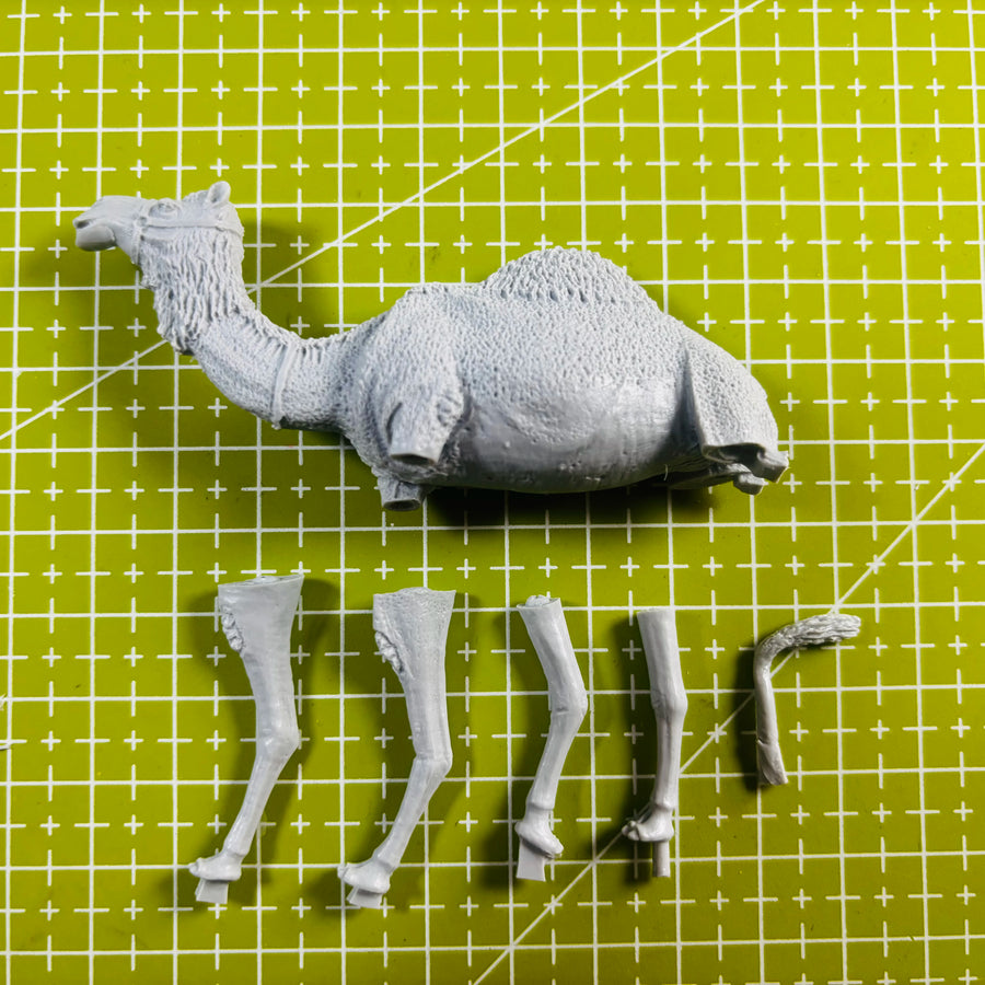 North African Desert Camel 1/35 Resin Model Kit - Unassembled - 1/35 resin model view 2