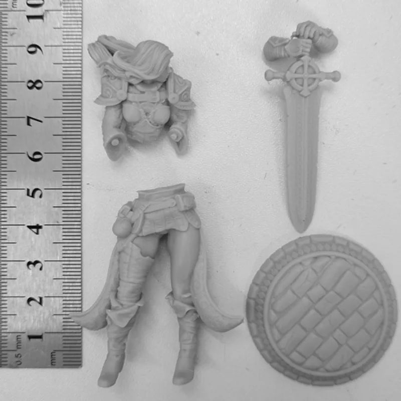 Holy Warrior Female Knight 75mm Resin Figure - 75mm resin model view 4