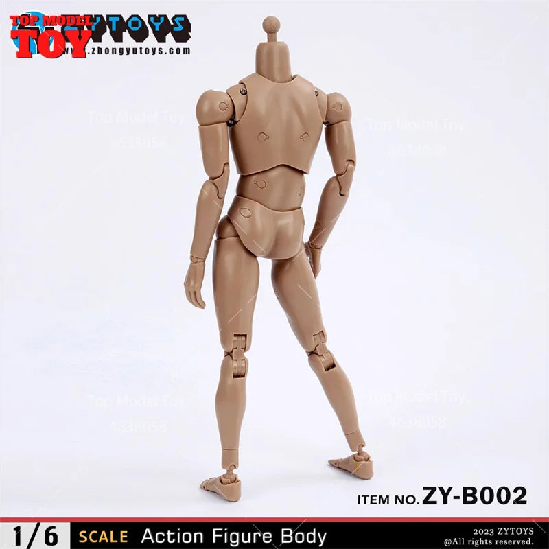 1/6 Scale Generic Male Action Figure Body Resin Kit - Wide Shoulder ZY-B002 - 1/6 resin model view 4