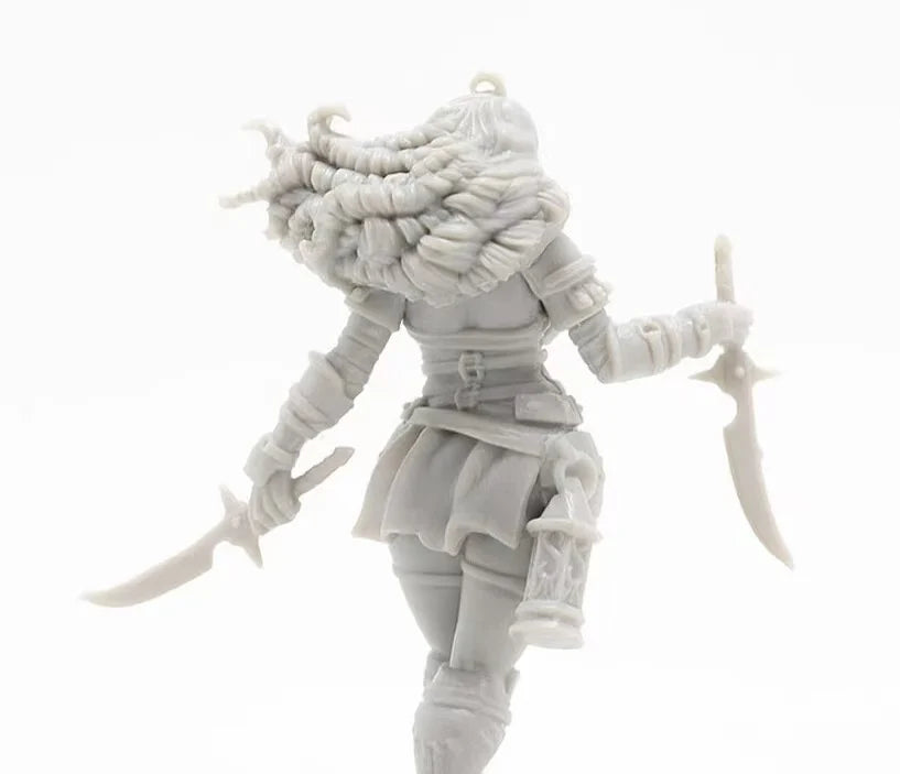 Kingdom Death Long-Haired Assassin Dual Blade Resin Figure Kit - resin model view 3
