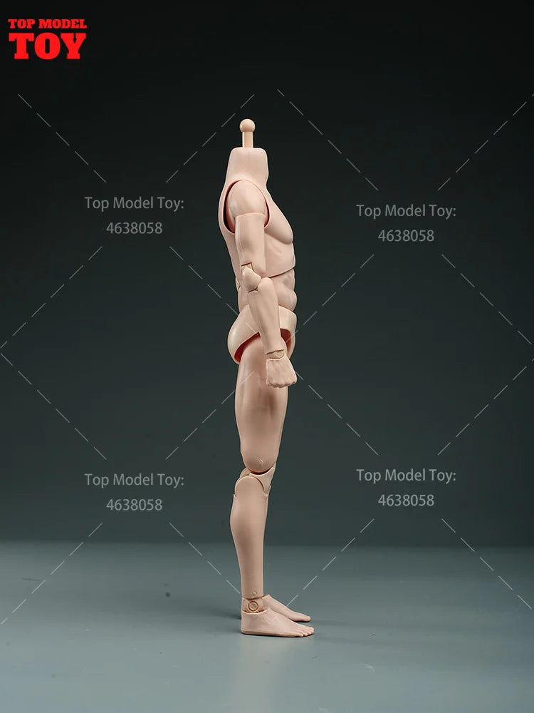 1/6 Scale Articulated Male Muscle Body Resin Figure with Flexible Joints - 1/6 resin model view 4