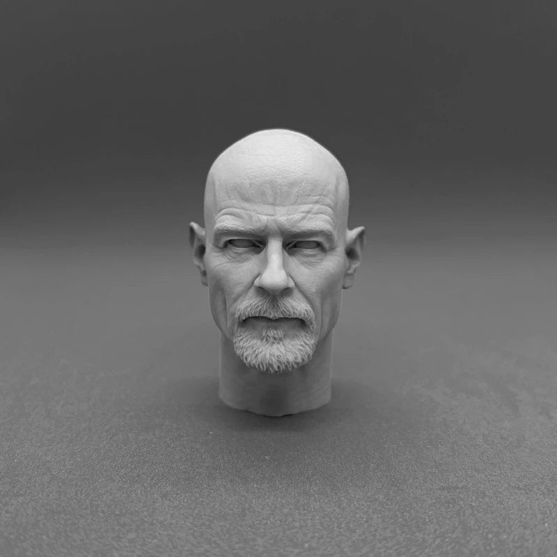 1/6 Scale Resin Head Bust Carving - TV Character Portrait Figure Kit - 1/6 resin model view 2