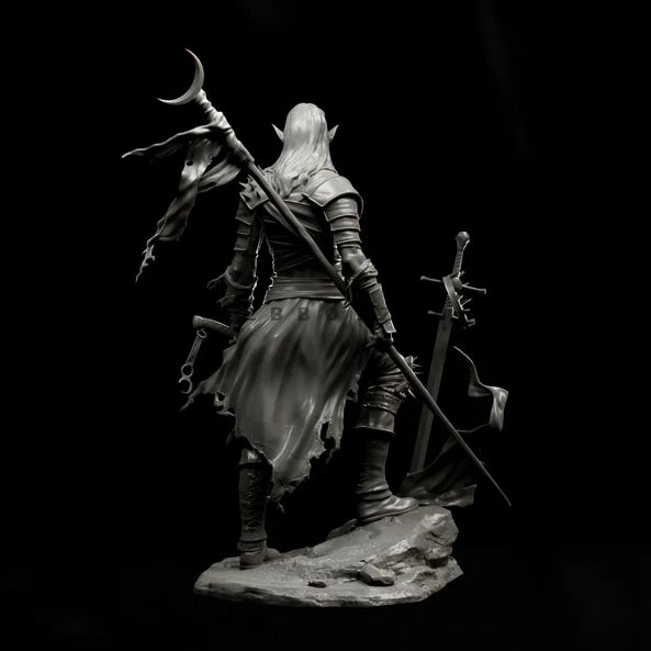 Dark Elf Warrior with Dual Swords 1/24 Resin Figure Kit - 1/24 resin model view 4